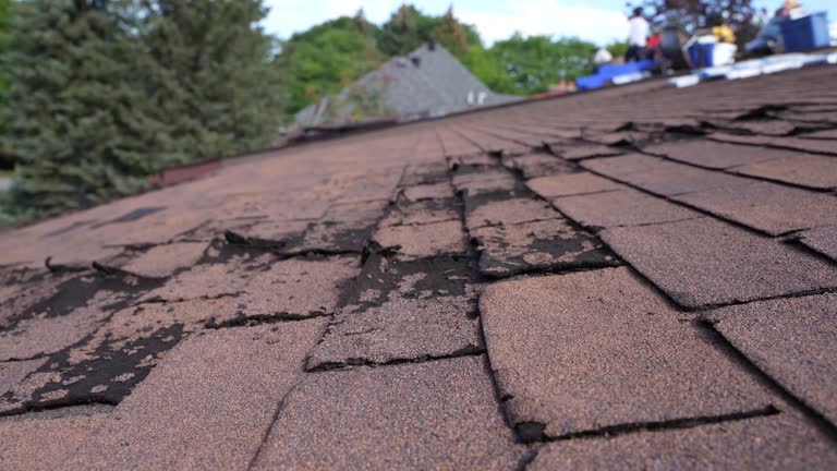 Best Asphalt Shingles Roofing  in Atascocita, TX
