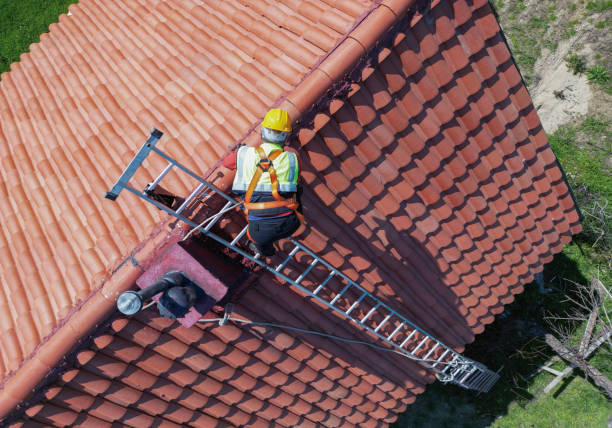 Best Roof Moss and Algae Removal  in Atascocita, TX